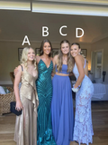 Different Style Prom Dress Evening Dress Gala Dress Y5473