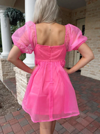 Organza Pink Baby Doll Dress,Pink Birthday Dress Pink Homecoming Dress Y2060
