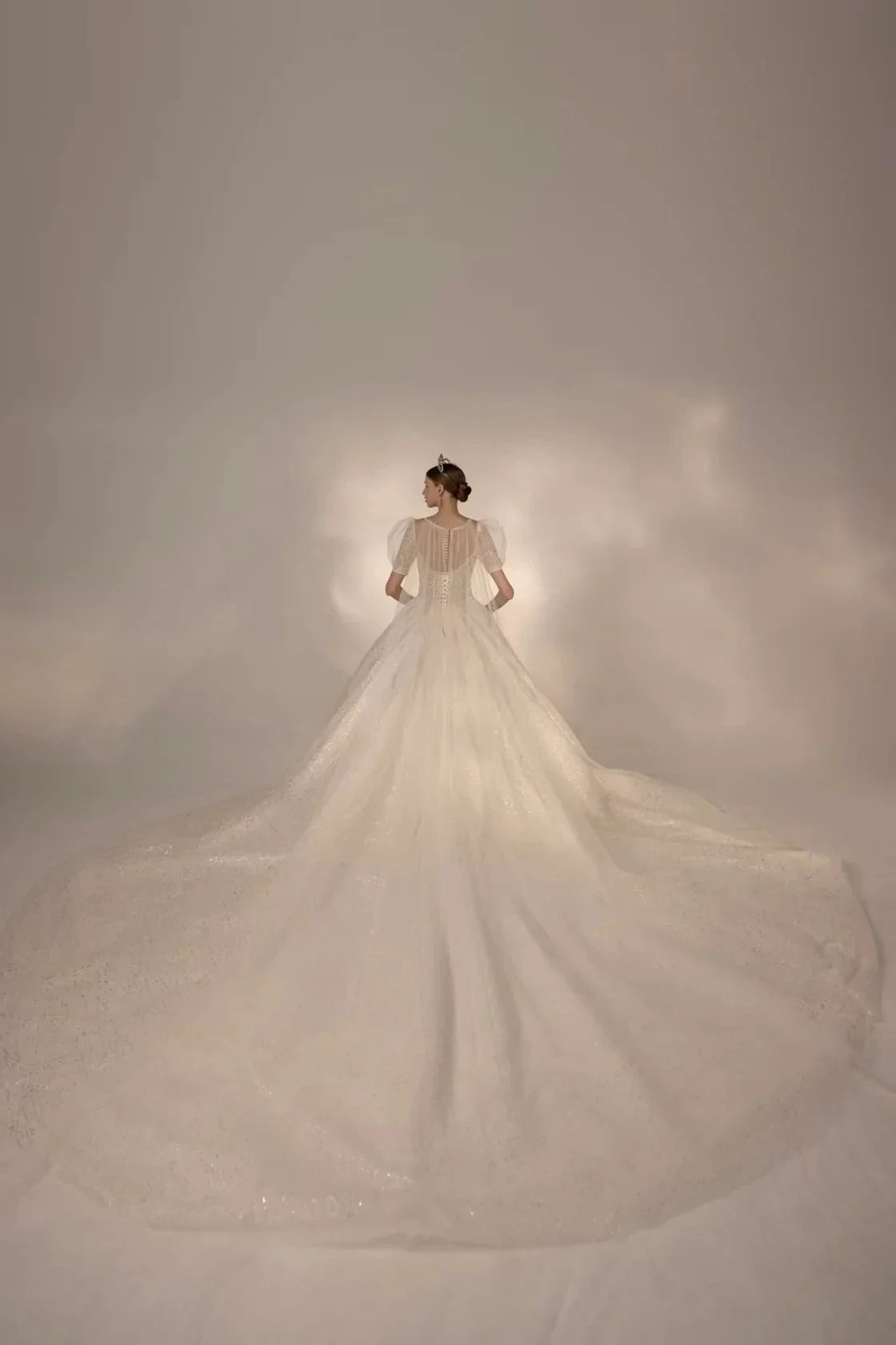 Sparkling Ball Gown Sweetheart Neck Tulle Wedding Dress with Beaded Embroidery & Sheer Puff Sleeves Q6021