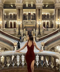 Sexy V Neck Burgundy Prom Dress With Split Sexy Evening Gown Y6361