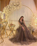 A-line V-neck Tulle Illusion Evening Dress Sheer Long Sleeves Evening Gown Y1204