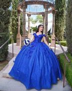 Bling Sequin Sweet 16 Quinceanera Dresses with 3D Applique,New Arrival Ball Gown Y1228