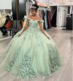 Women's Spaghetti Quinceanera Ball Gown Lace Applique for Sweet 15 16 Dresses Y3038