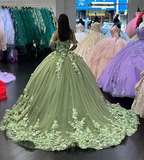 Luxury Green Princess Quinceanera Dresses Off Shoulder 3D Flowers Appliques Ball Gown Y4147