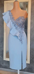 Blue Sheath Short Party Dress Blue Homecoming Dress Y6427