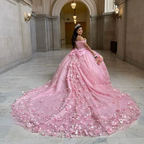 Pink Off Shoulder Ball Gown Quinceanera Dresses 3D Appliques Corset Dress Y6791