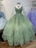 Sage Green 3D Butterfly Applique Cape Ball Gown Y2785