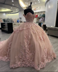 Sparkly Pink Appliques Ball Gown,Pink Princess Dress Y2341