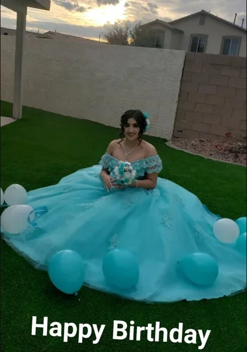 Off The Shoulder Lace Tulle Ball Gown Princess Dress Y3087