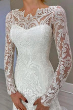 Amazing Column Lace Long Sleeve White Wedding Dresses With Appliques