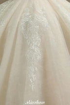 Chic Short Sleeves Tulle Lace Appliques Bridal Gown Spring Garden Wedding Dress