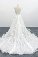 Elegant Long A-line V-neck Appliques Lace Tulle Backless Wedding Dress