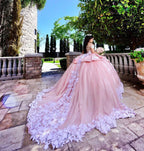 Elegant Long Ball Gown Off the Shoulder Appliques Lace Tulle Quinceanera Dress