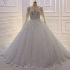 Elegant Princess A-line Tulle V-neck Lace Wedding Dress With Long Sleeves