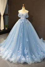 Blue lace applique elegant off the shoulder ball gown Y1578