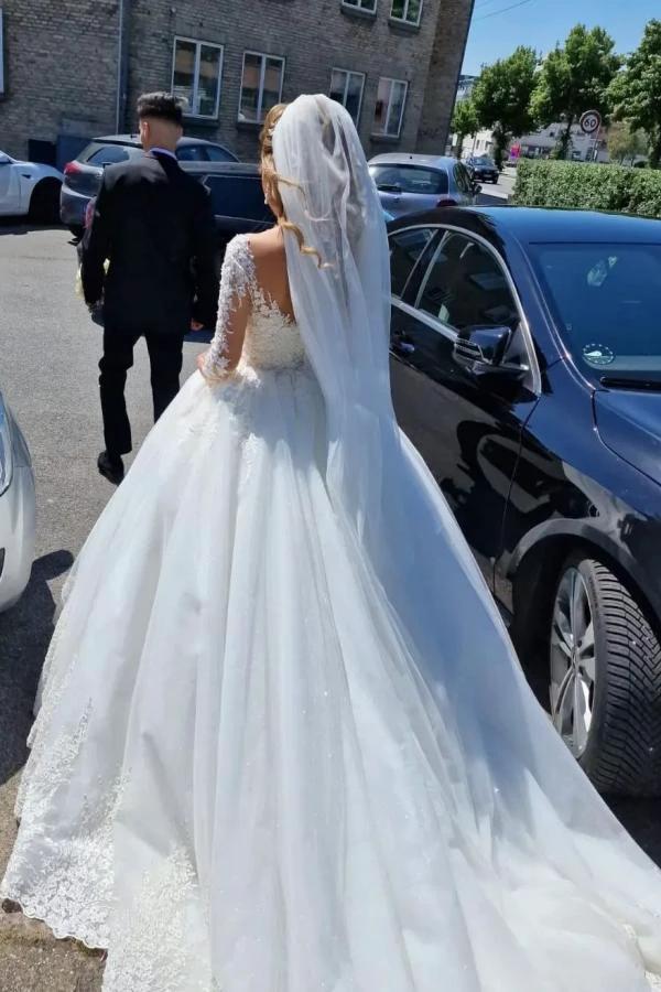Gorgeous White Long A-line V-neck Lace Wedding Dress with Sleeves