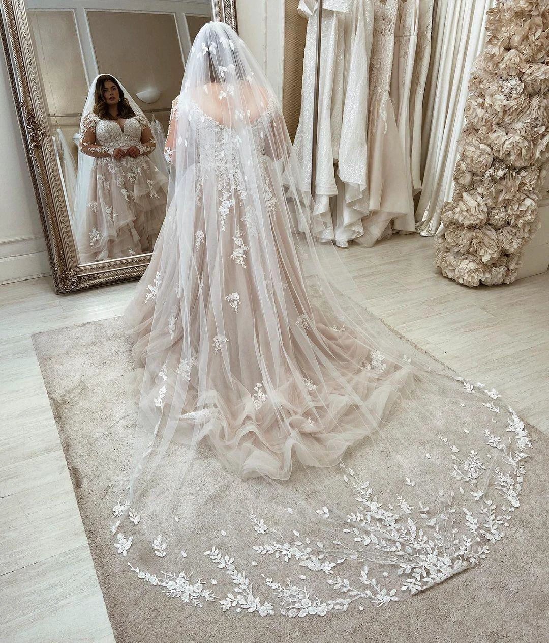 Long Plus Size A-Line Sweetheart Tulle Wedding Dresses with Lace Sleeves