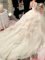 Long Sleeve A-Line Scoop Neck Court Train Organza Wedding Dresses