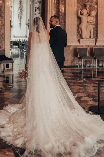 Luxury Long Mermaid Spaghetti Straps Glitter Wedding Dresses With Lace