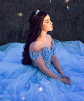 Winter Wonderland Blue Tulle Prom Dress Off The Shoulder Blue Evening Dress  Y1092