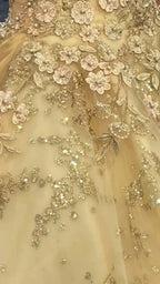 Luxurious Champagne V Neck Quinceanera Dress Princess Dress Champagne Ball Gown Y593